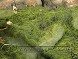 "BRAND NEW" Build-a-Rama 1:32 Hand Painted WWII Deluxe Grass Mat w/ Swamp