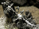 "RETIRED & BRAND NEW" Build-a-Rama 1:32 Hand Painted WWII Deluxe "Winter" Blasted Tree Terrain Set