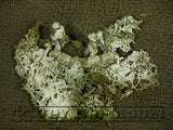 "RETIRED & BRAND NEW" Build-a-Rama 1:32 Hand Painted WWII "Winter" Ambush Foliage