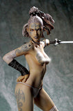 "Brand New" Luis Royo "Ritual  FFG Statue"  Fantasy Figure Series - Yamato  MINT