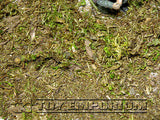 "RETIRED & BRAND NEW" Build-a-Rama 1:32 Hand Painted WWII "Woodland" Ground Cover Set